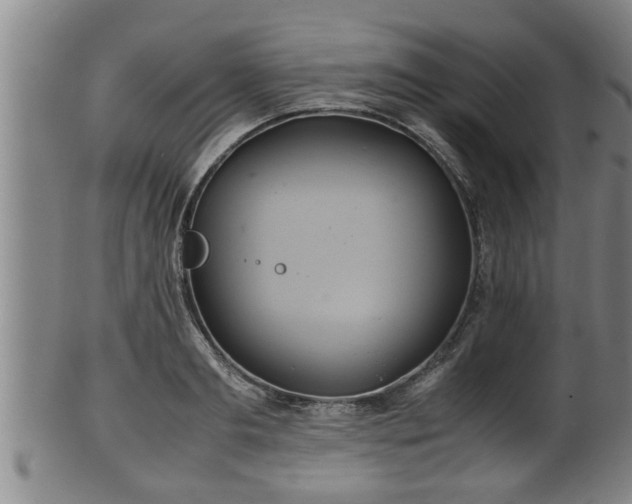 X0000100220893200806061342