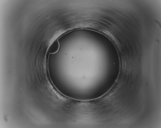 X0000100220894200806061342