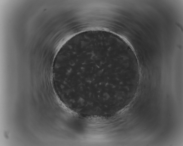 X0000100220895200806061342