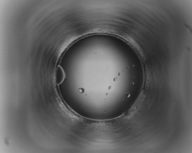 X0000100220896200806061342