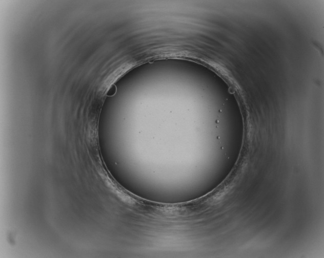 X0000100220897200806061342