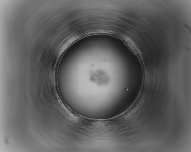 X0000100220898200806061342