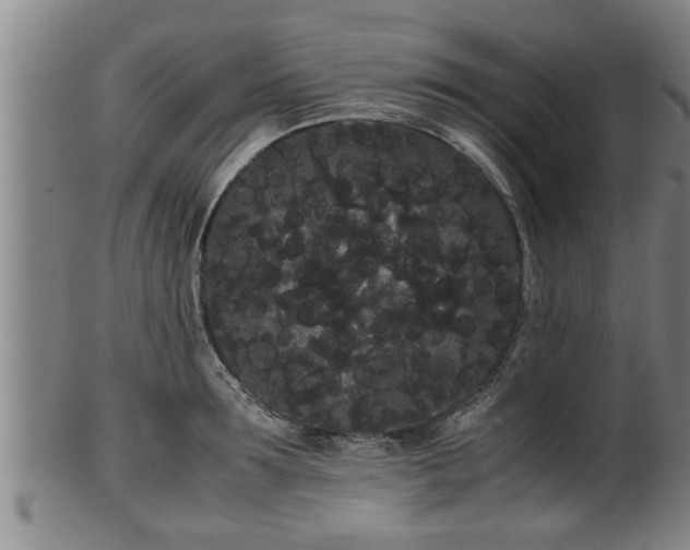 X0000100220899200806061342