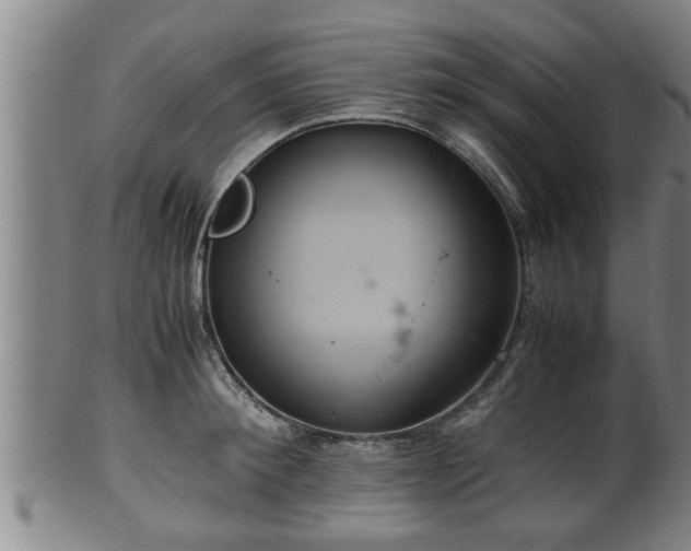 X0000100220900200806061342