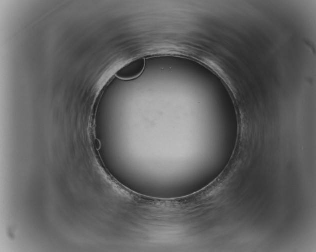 X0000100220901200806061342