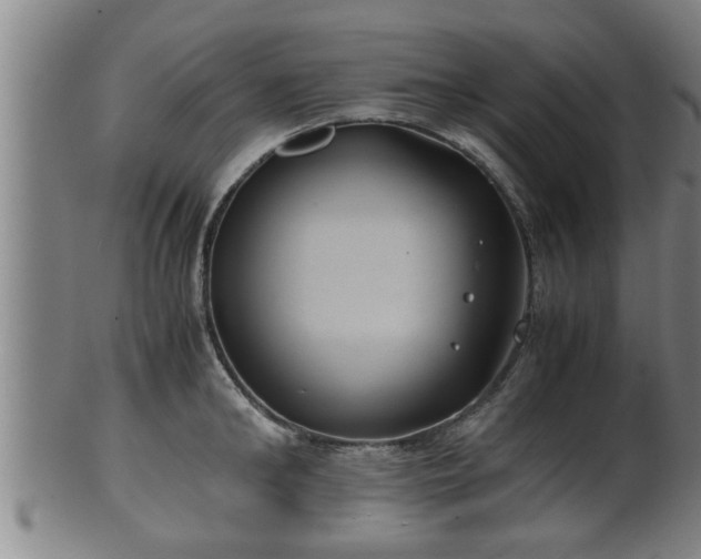 X0000100220902200806061342