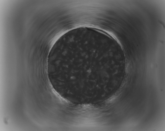 X0000100220903200806061342