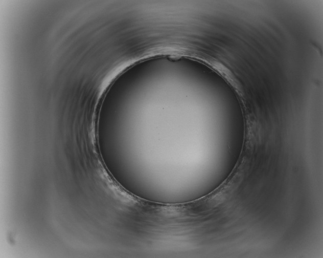 X0000100220904200806061342