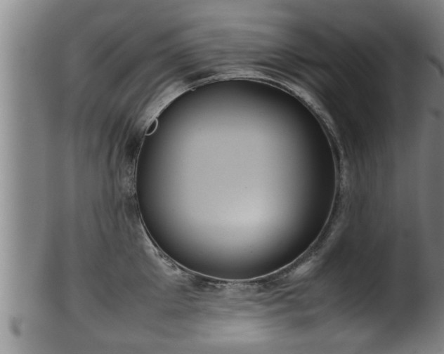 X0000100220905200806061342