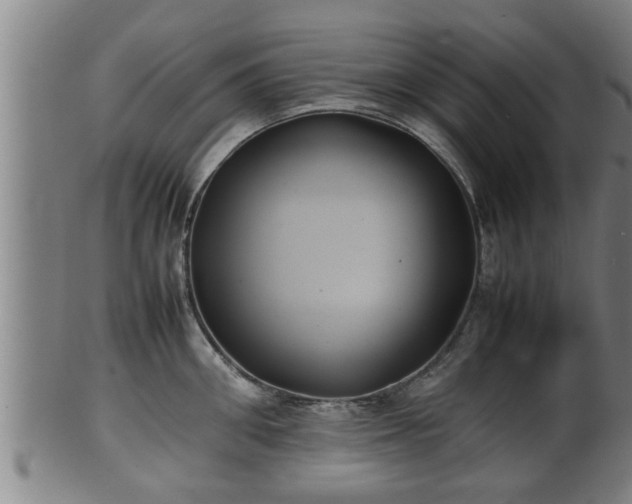 X0000100220906200806061342