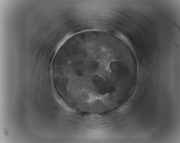 X0000100220907200806061342