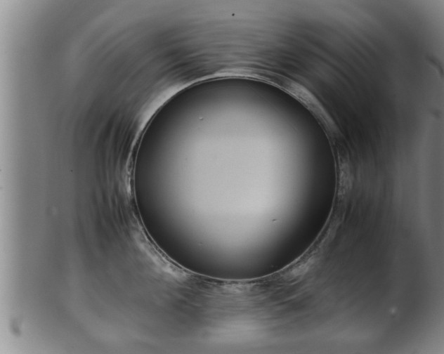 X0000100220908200806061342