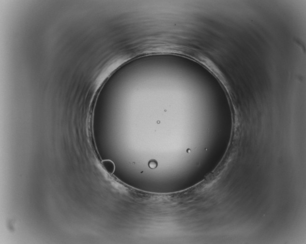 X0000100220909200806061342