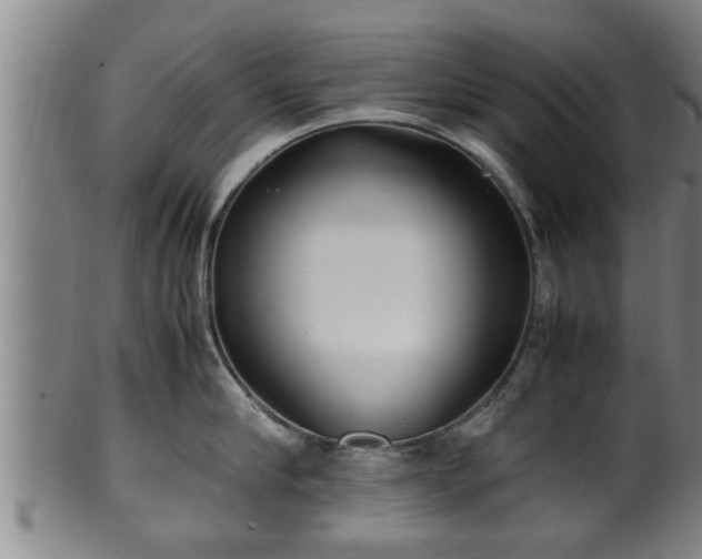 X0000100220910200806061342