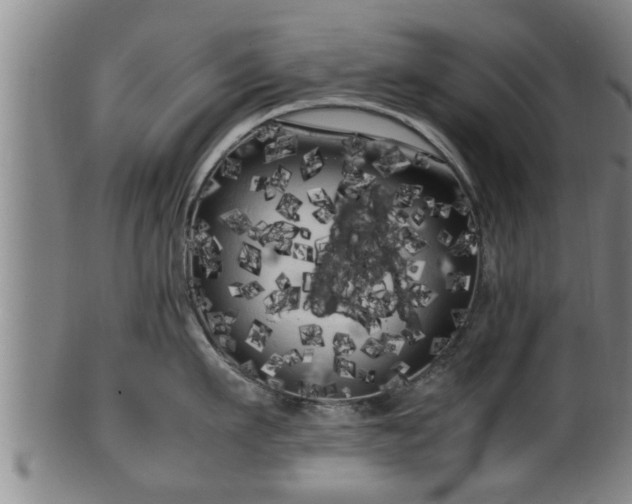 X0000100220911200806061342