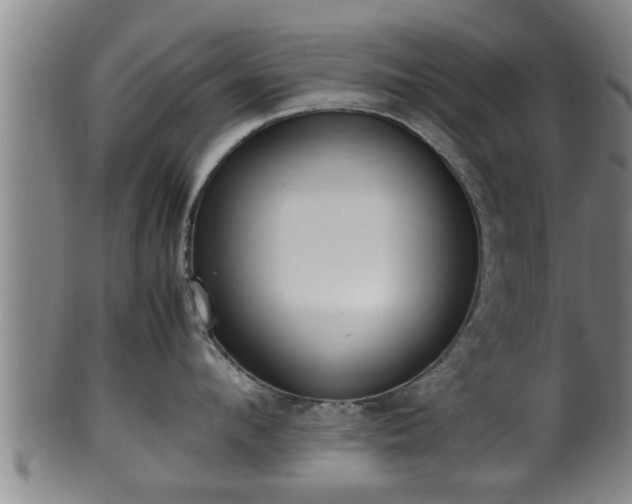 X0000100220912200806061342