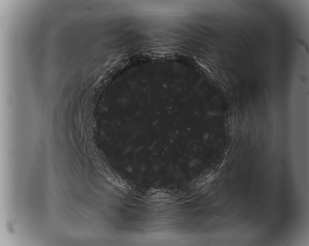 X0000100220913200806061341