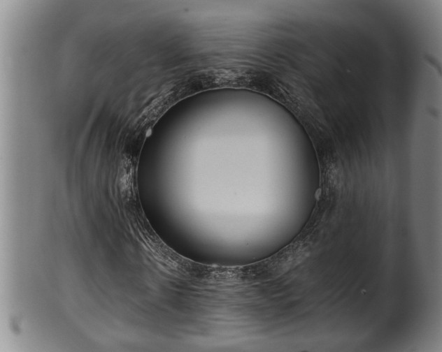 X0000100220914200806061341