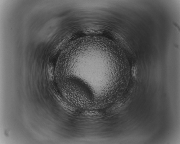 X0000100220915200806061341