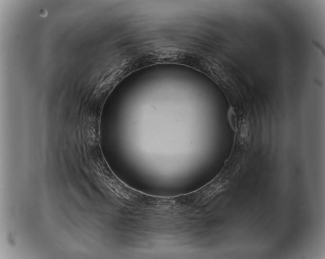 X0000100220916200806061341