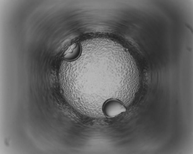 X0000100220918200806061341