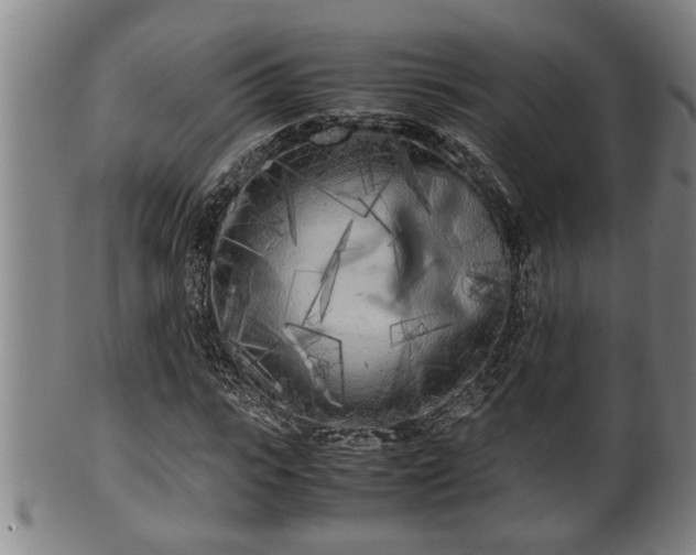 X0000100220919200806061341