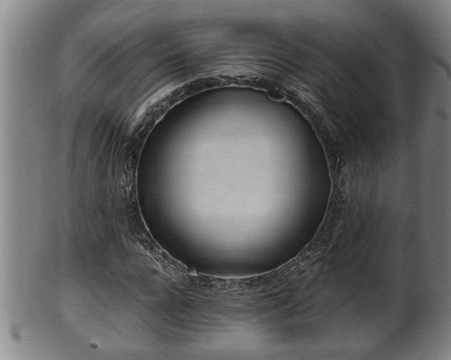 X0000100220920200806061341