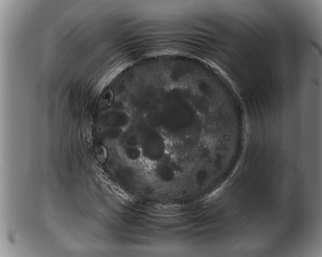 X0000100220921200806061341