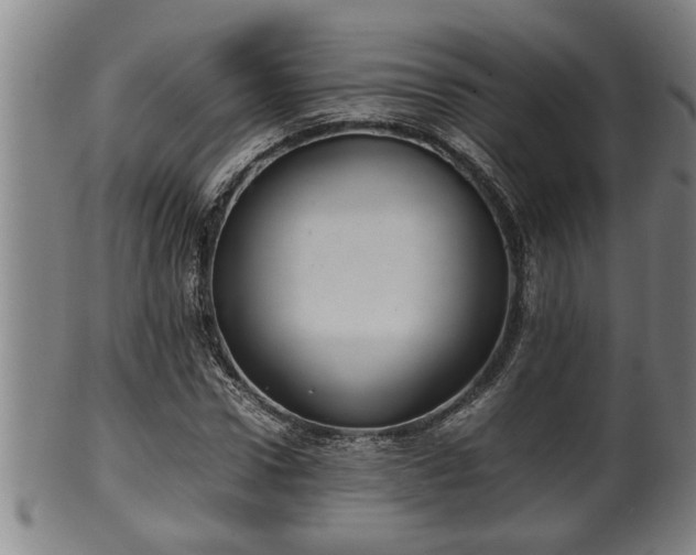 X0000100220922200806061341