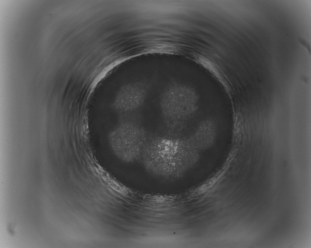 X0000100220923200806061341