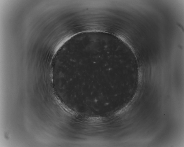 X0000100220925200806061341