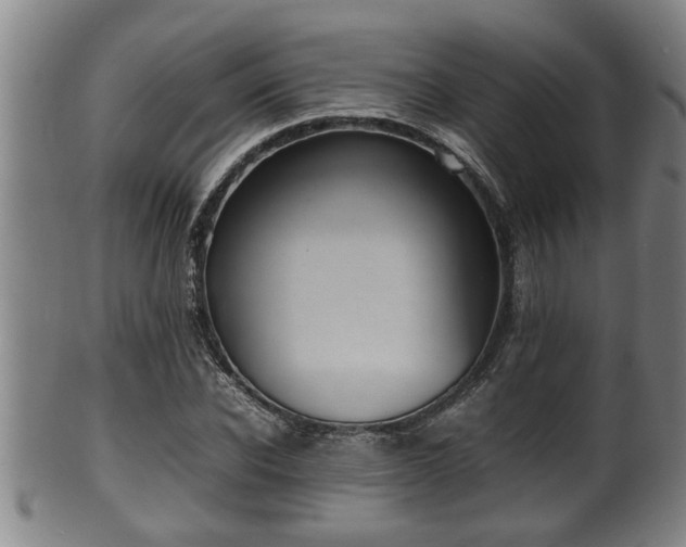 X0000100220926200806061341