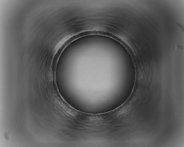 X0000100220927200806061341