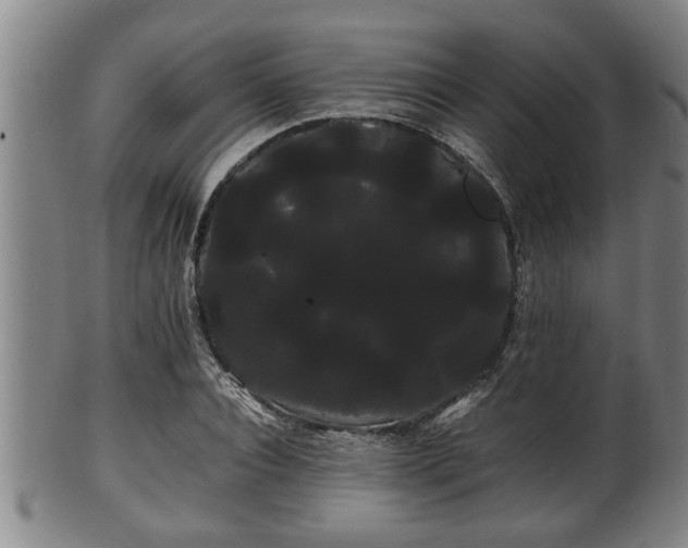 X0000100220928200806061341