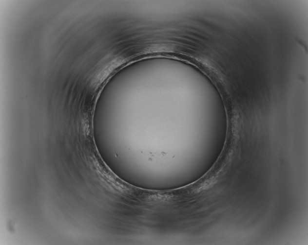 X0000100220929200806061341