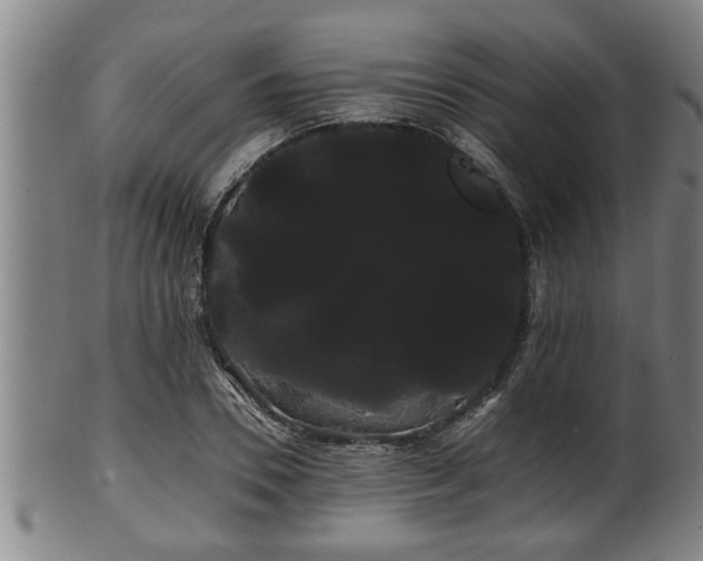 X0000100220930200806061341