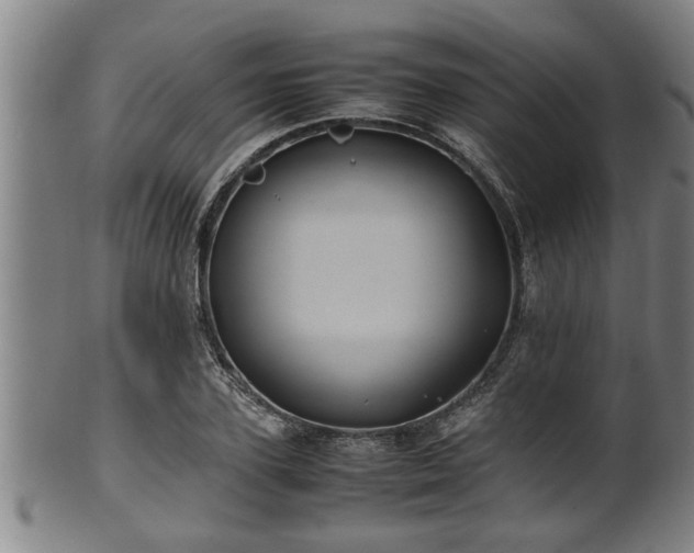 X0000100220931200806061341