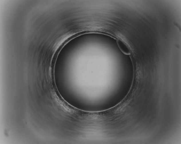 X0000100220932200806061341