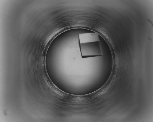 X0000100220933200806061341