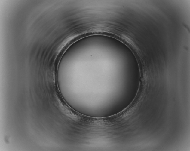 X0000100220934200806061341