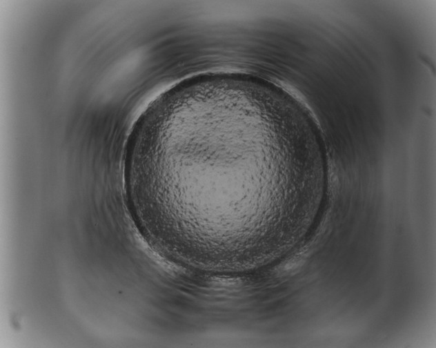 X0000100220935200806061341