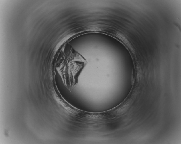 X0000100220939200806061341