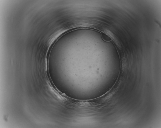 X0000100220940200806061341