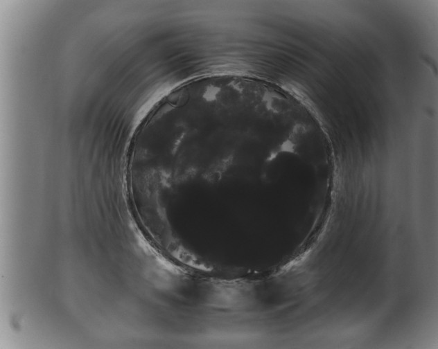 X0000100220941200806061341