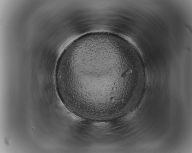 X0000100220943200806061341