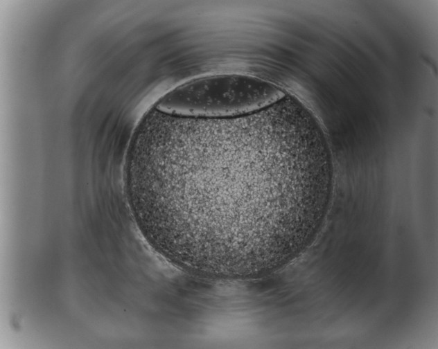 X0000100220944200806061341