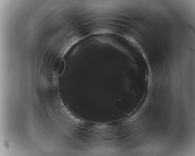 X0000100220945200806061341