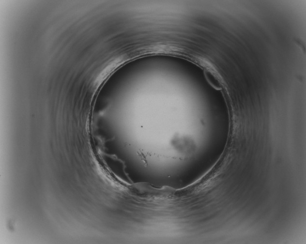 X0000100220946200806061341