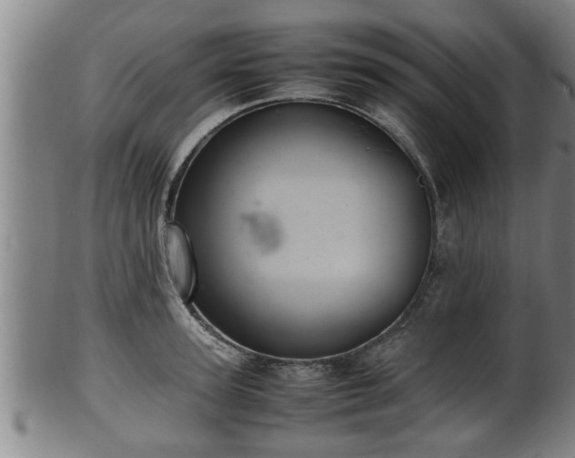 X0000100220947200806061341