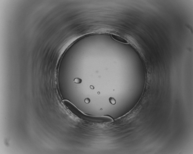 X0000100220948200806061341